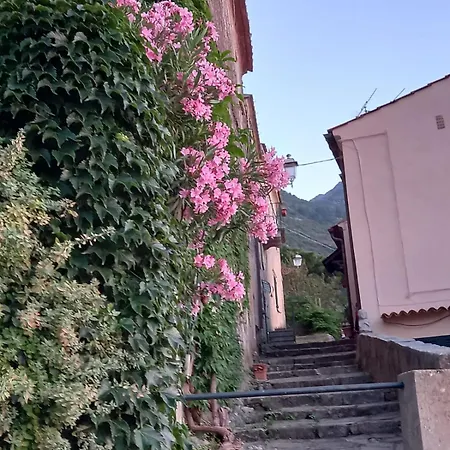 Apartment Nora's House Elba Island Marciana (Isola d'Elba)